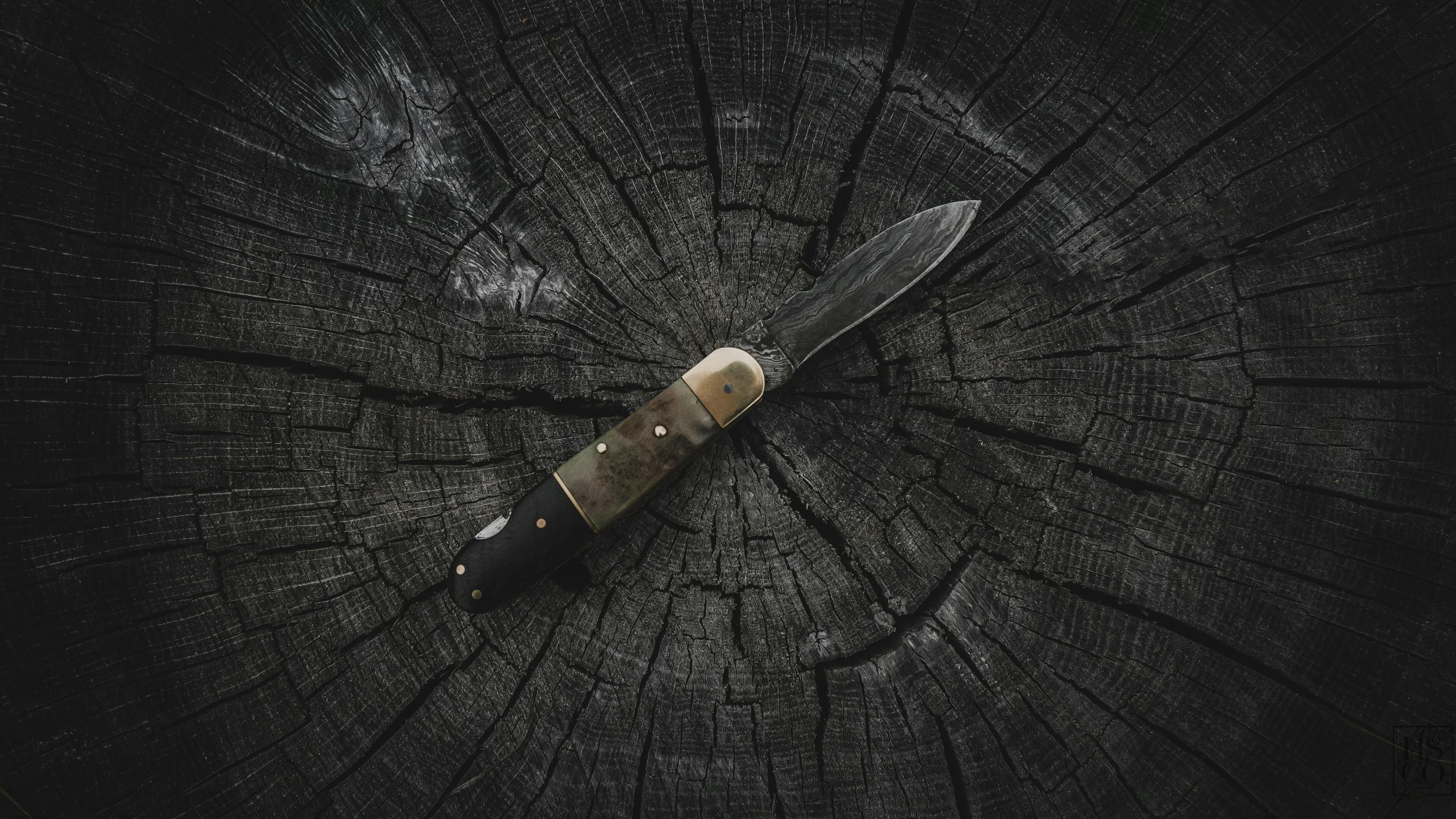why-your-knife-dulls-so-quickly-and-how-to-fix-it