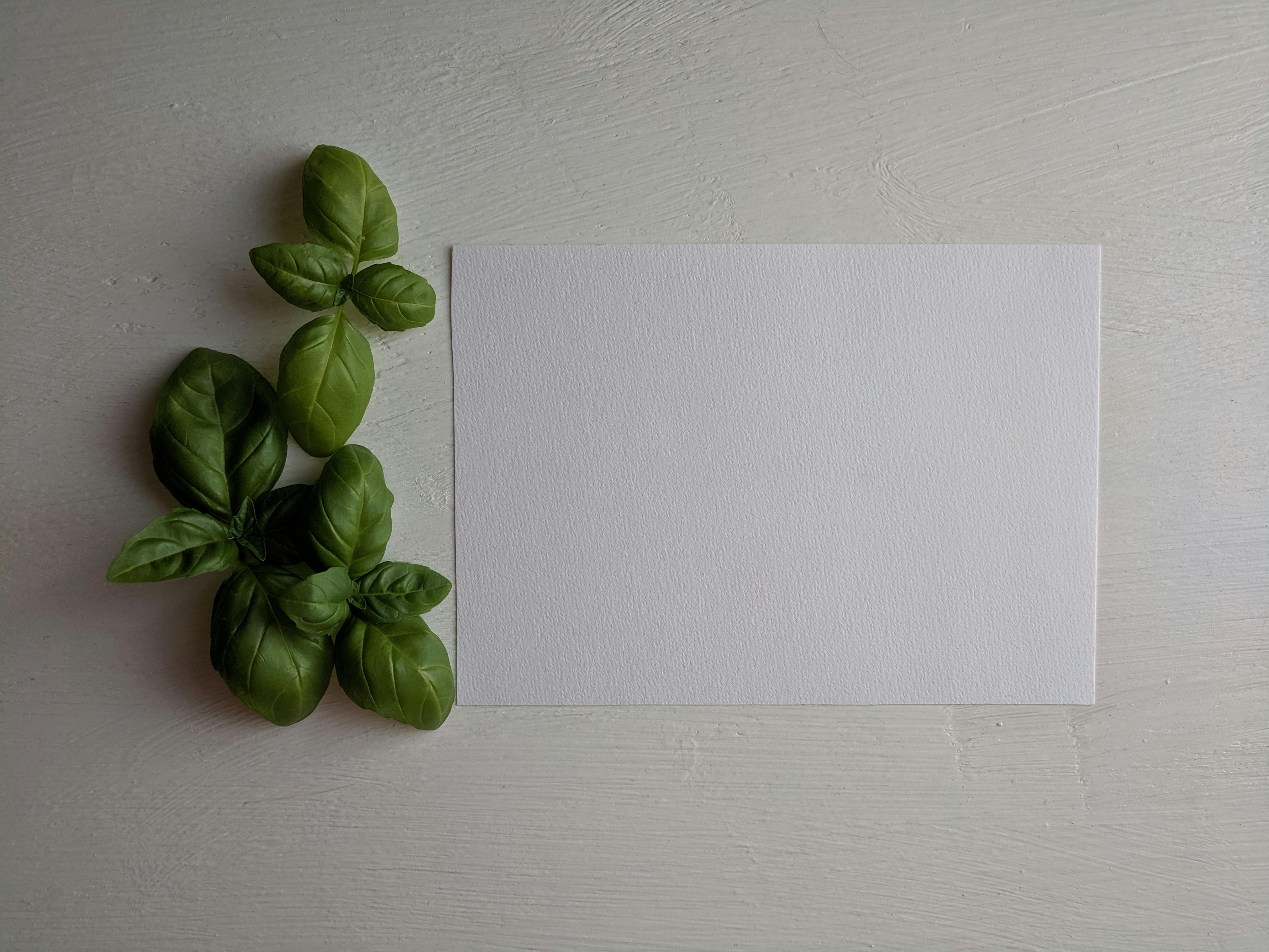 Hold a paper and use the knife to slice it